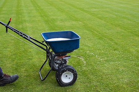 groundsman-spreads-fertilizer-on-grass.jpg