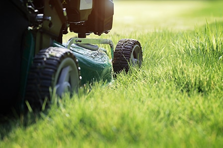 mowing-or-cutting-the-long-grass-with-a-green-lawn-mower-in-the-summer-sun.jpg