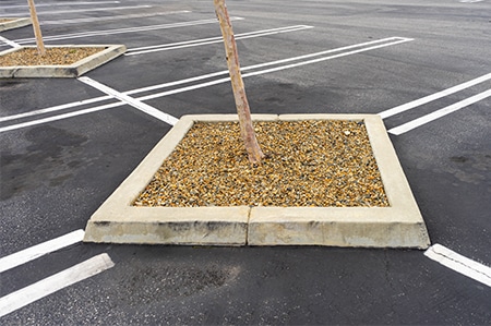 square-concrete-edging-with-young-tree-and-rock-mulch-in-a-parking-lot.jpg